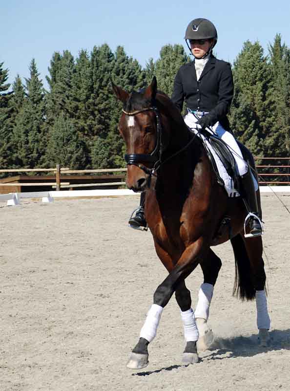 Wild at Heart Fine Art Equine Photography